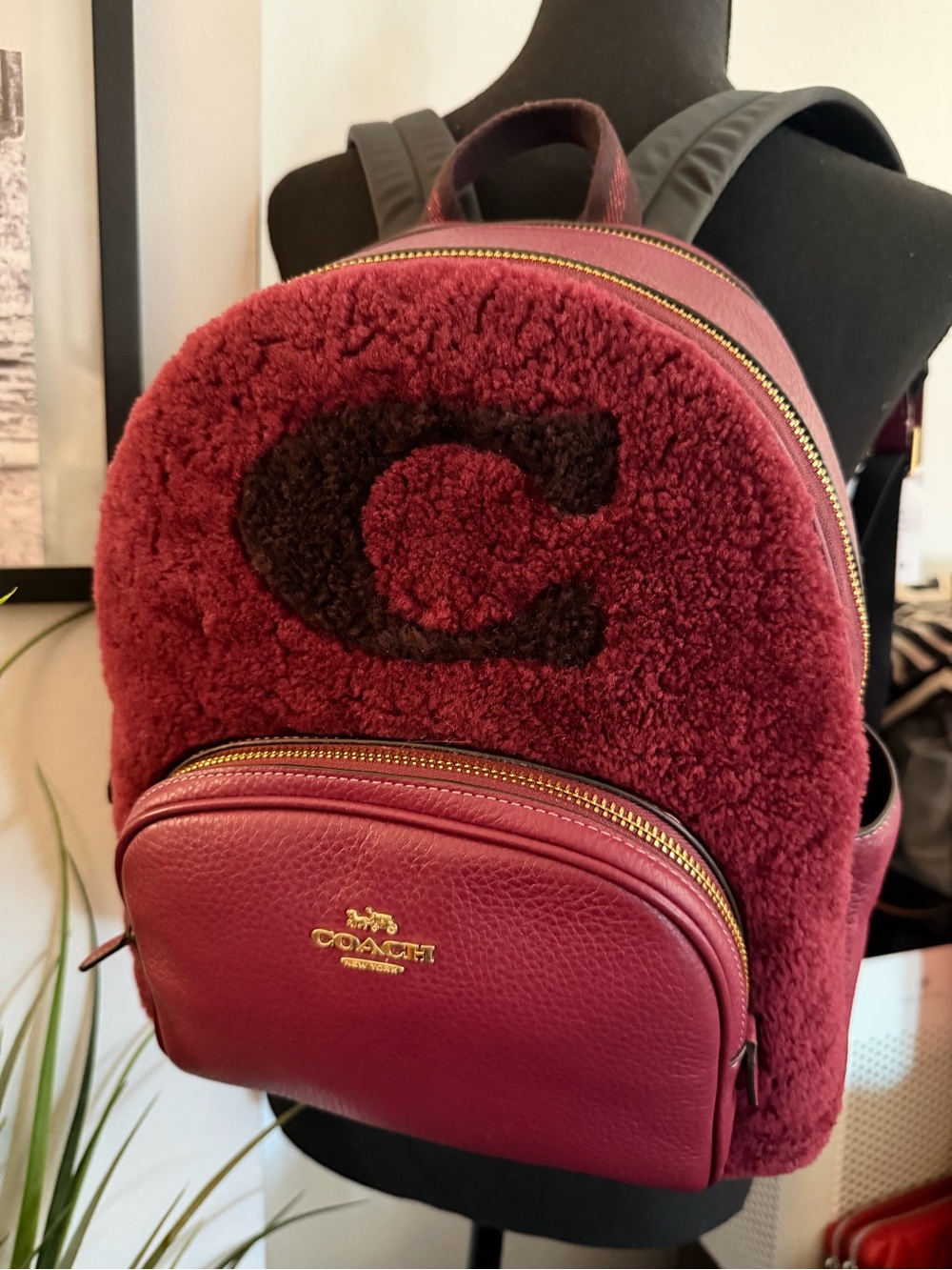 Coach Shearling Court Backpack - Picture 12 of 14